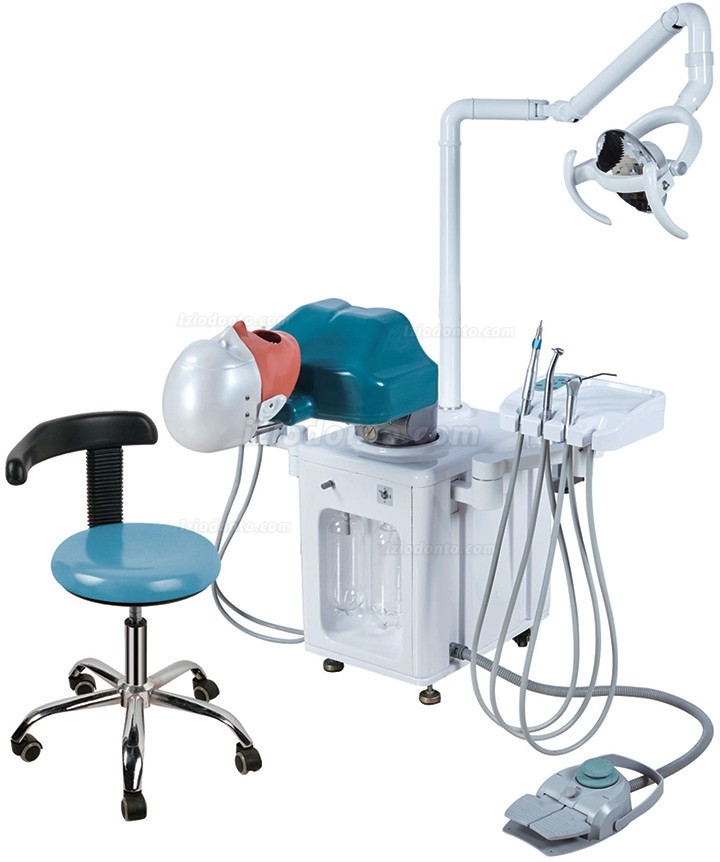 Jingle JG-A2 Simulador de Paciente Odontológico Completo Typodont Compatível com Nissin Kilgore/Frasaco